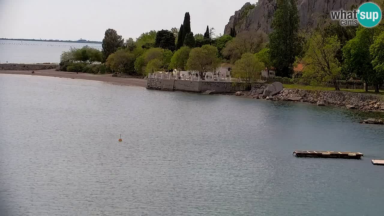 Spletna kamera Sesljan (Sistiana) – Pogled na marino in zaliv