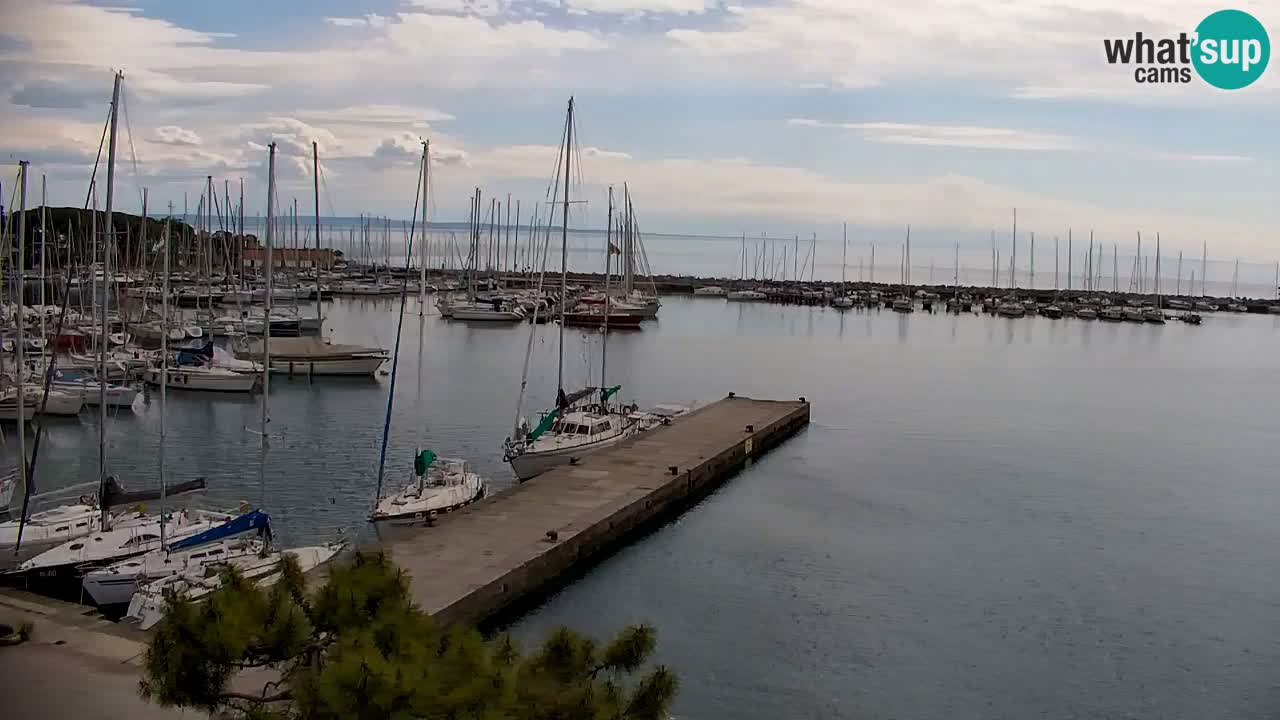 Webcam Sistiana – Marina and Bay Live View