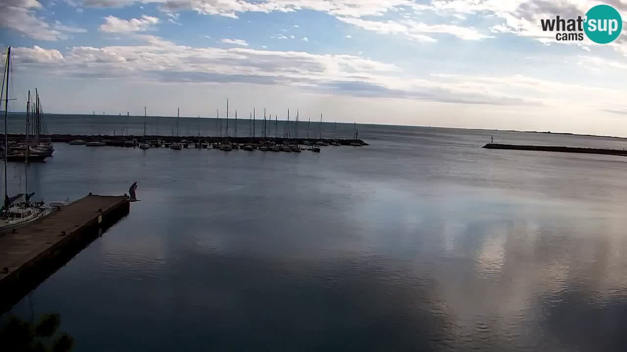 Webcam Sistiana – Pogled na marinu i zaljev