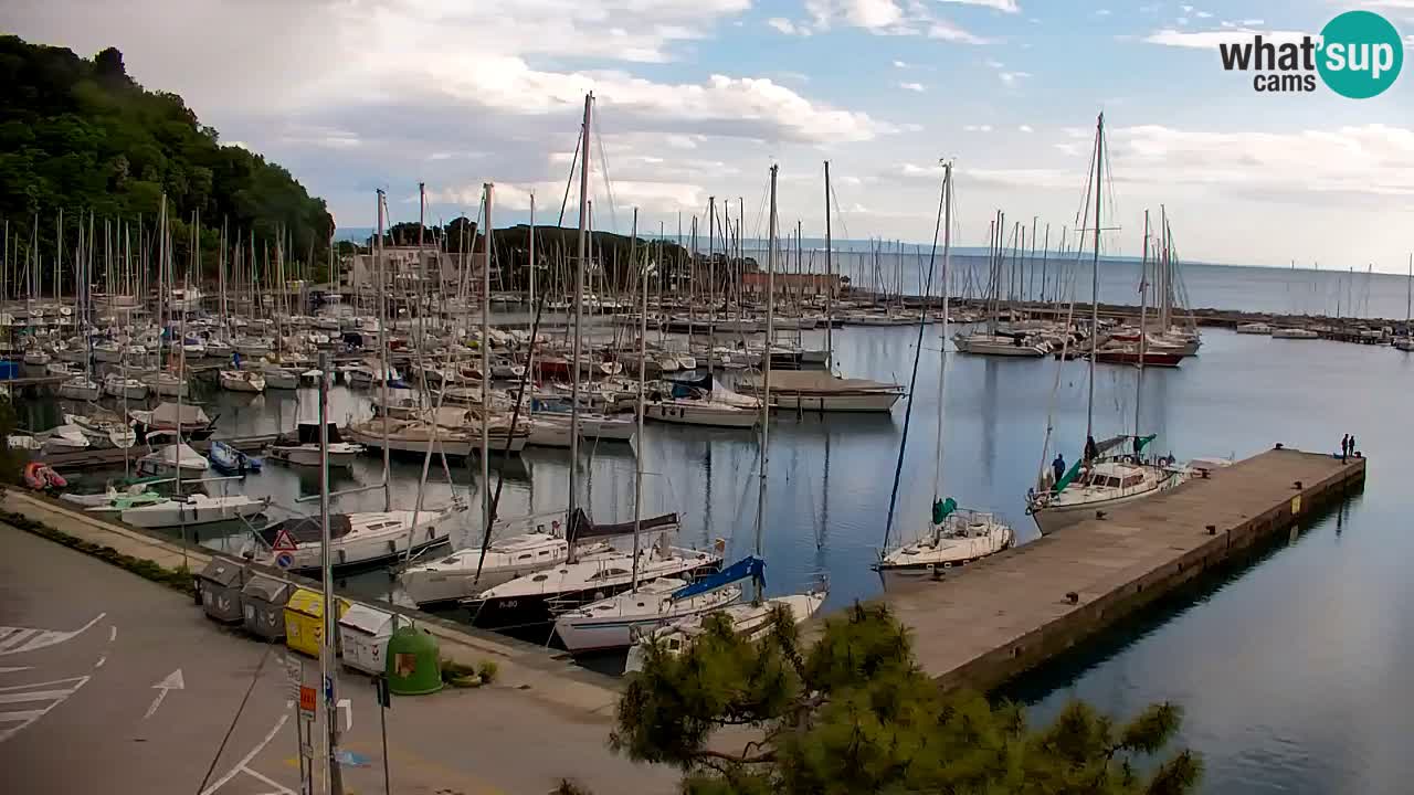 Webcam Sistiana – Vista sobre la marina y la bahía