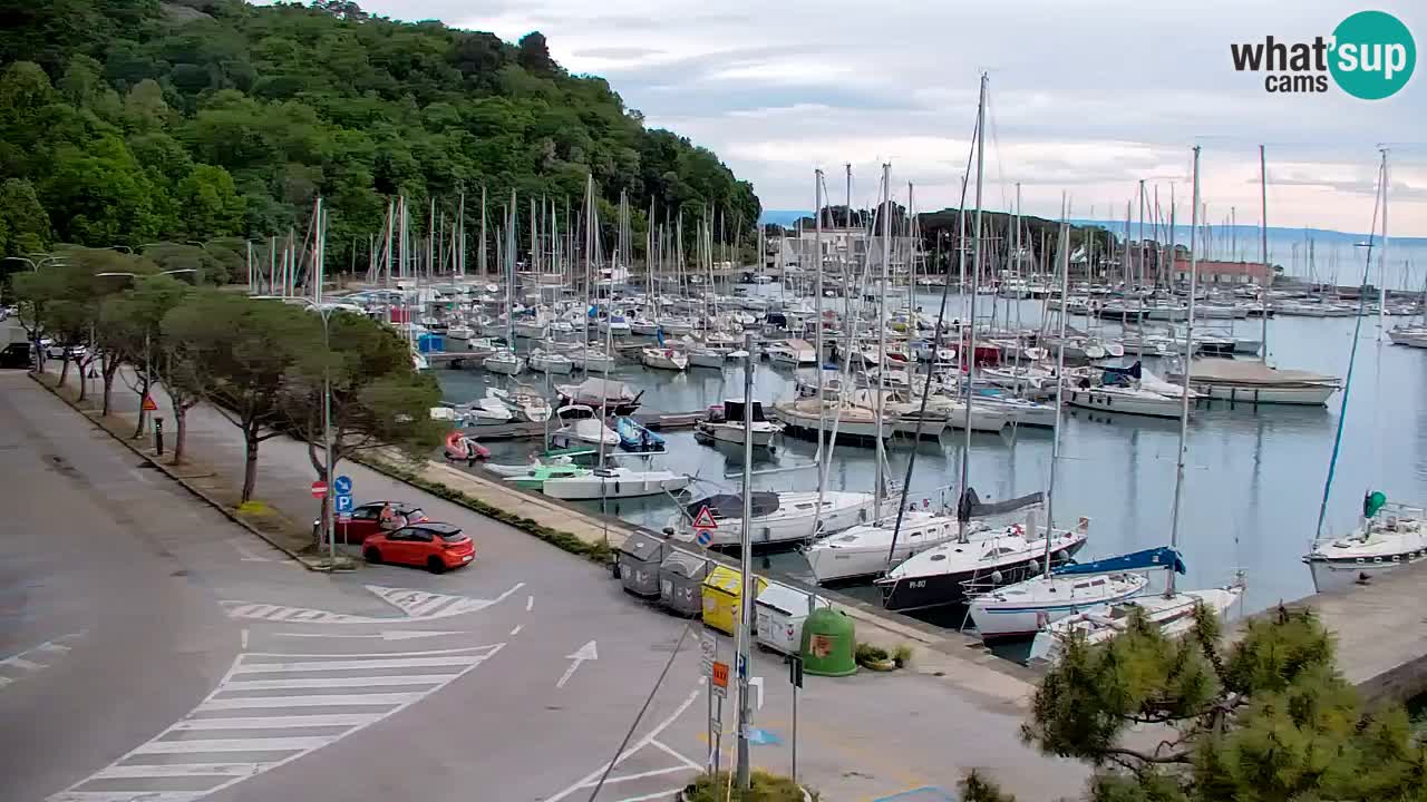 Webcam Sistiana – Marina and Bay Live View