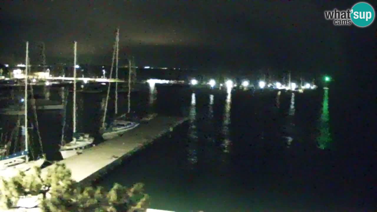 Webcam Sistiana – Marina and Bay Live View