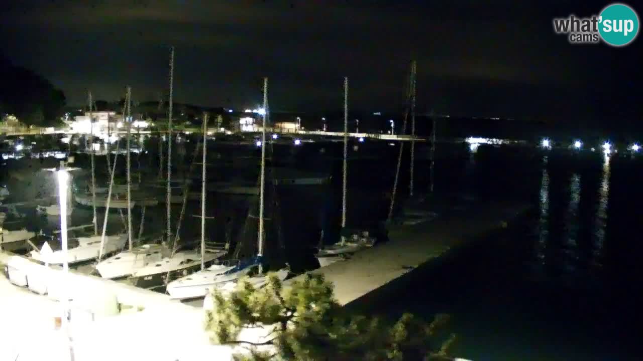 Webcam Sistiana – Marina and Bay Live View