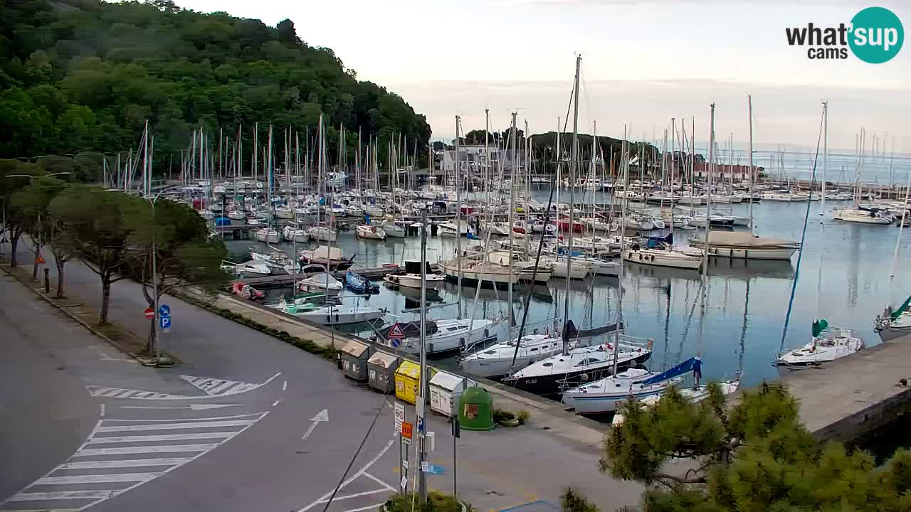 Webcam Sistiana – Marina and Bay Live View