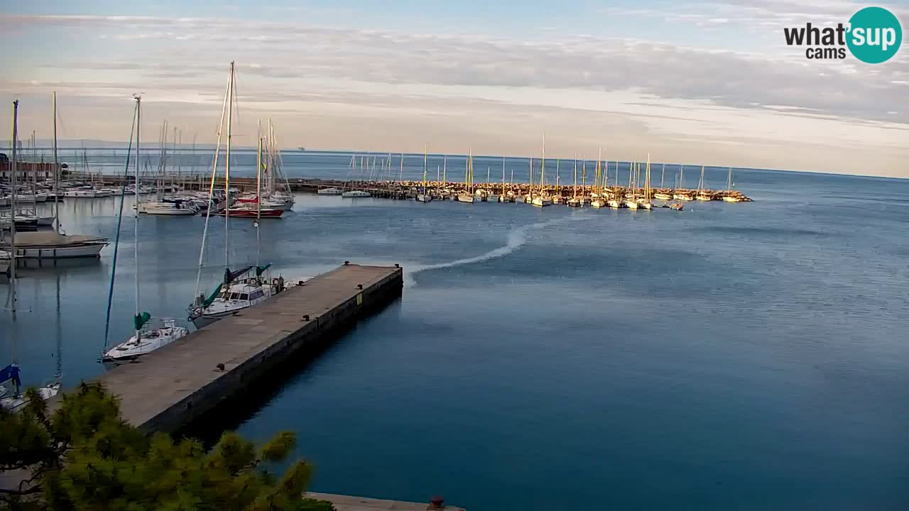 Webcam Sistiana – Marina and Bay Live View