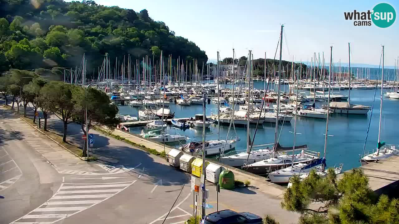 Webcam Sistiana – Marina and Bay Live View