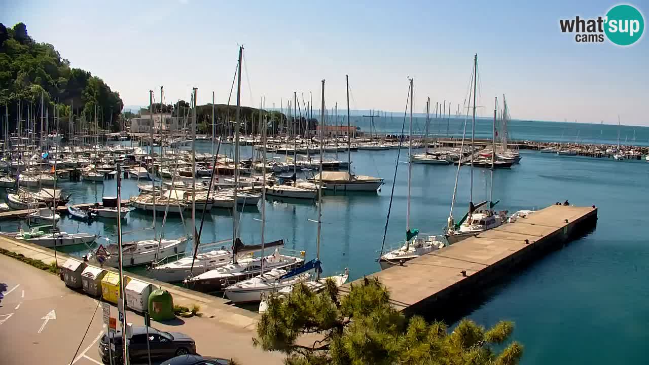 Webcam Sistiana – Marina and Bay Live View