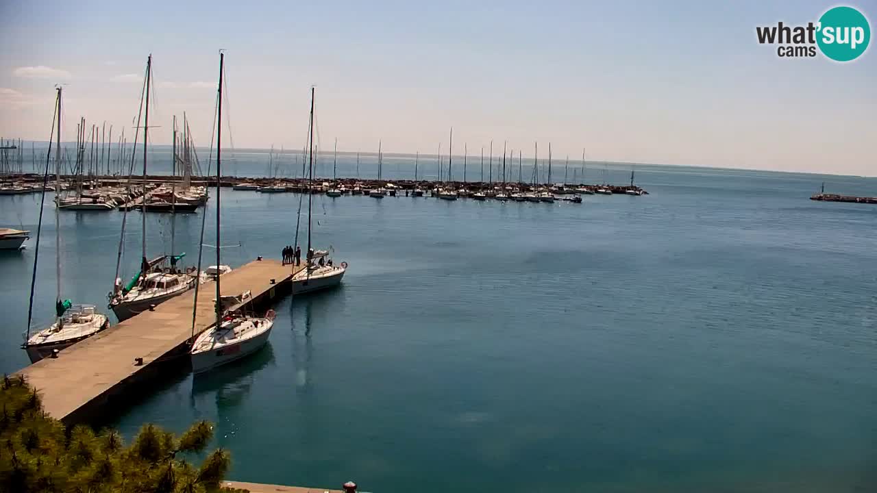 Webcam Sistiana – Blick auf Marina und Bucht