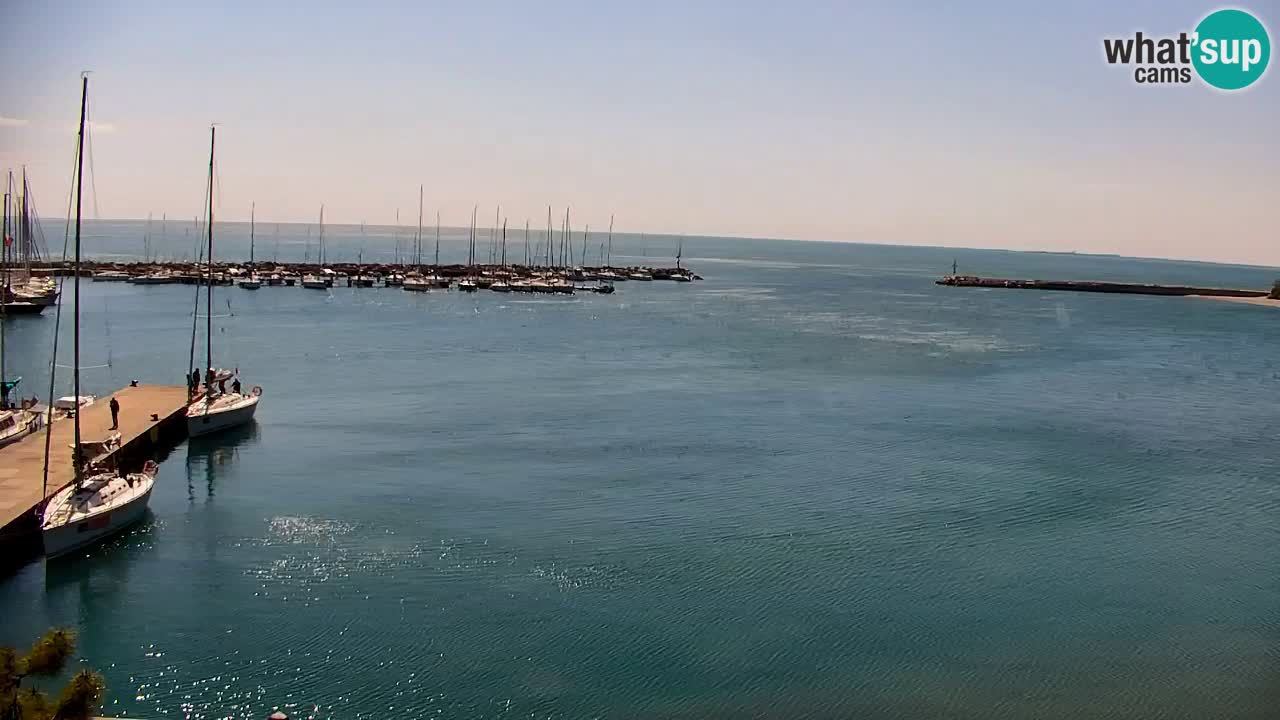 Spletna kamera Sesljan (Sistiana) – Pogled na marino in zaliv