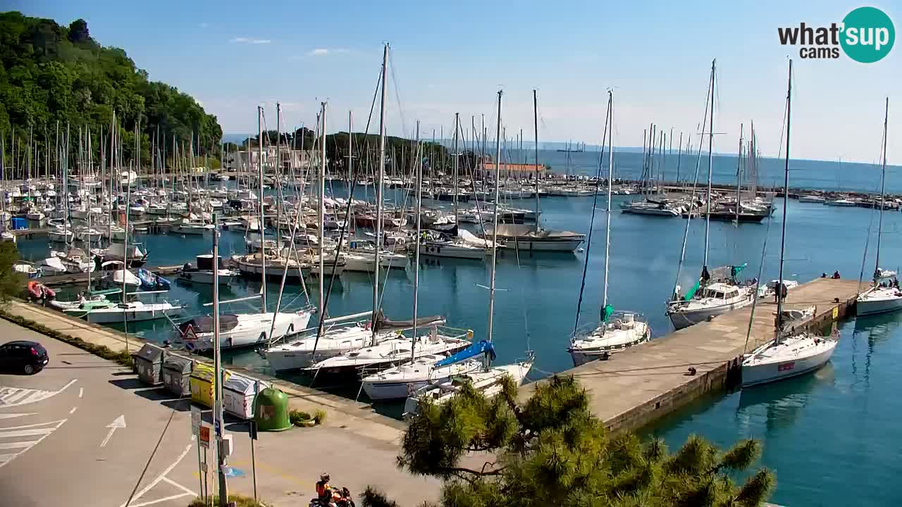 Webcam Sistiana – Pogled na marinu i zaljev