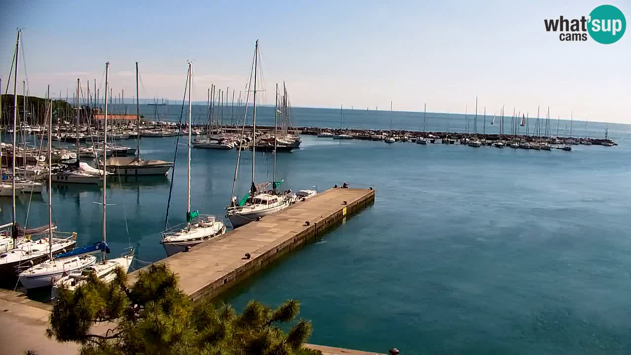 Webcam Sistiana – Marina and Bay Live View