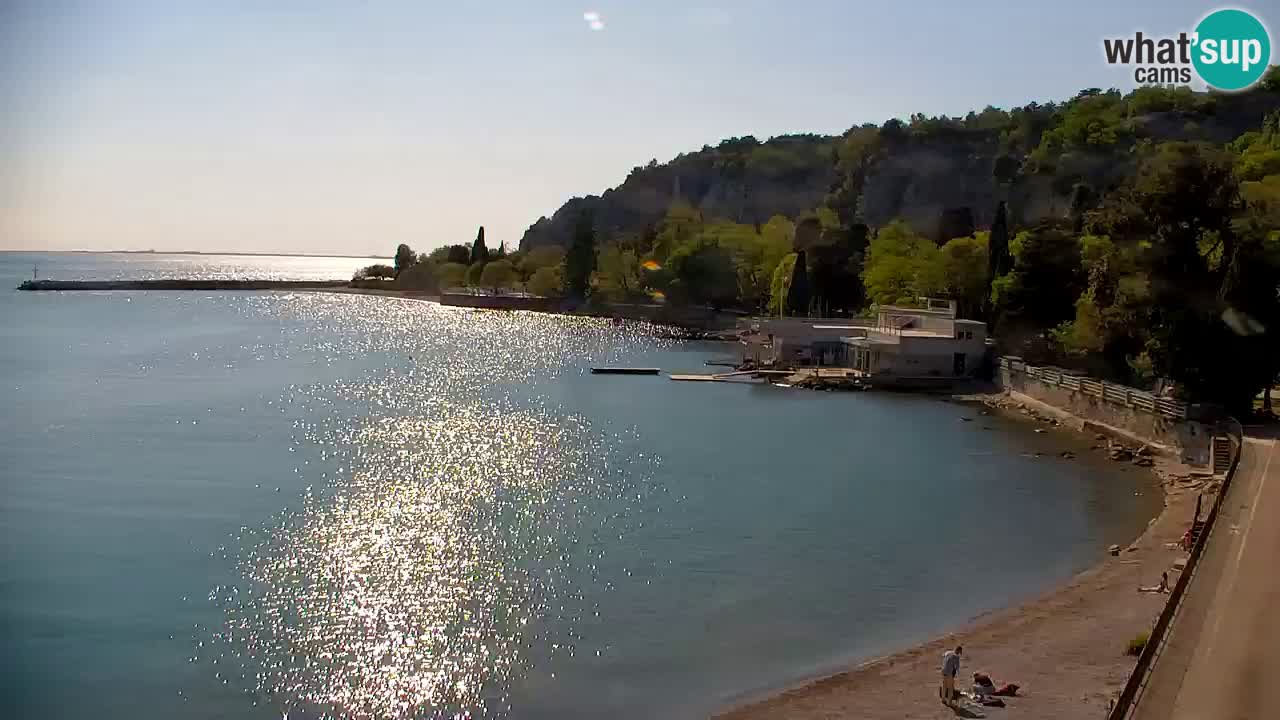 Webcam Sistiana – Marina and Bay Live View