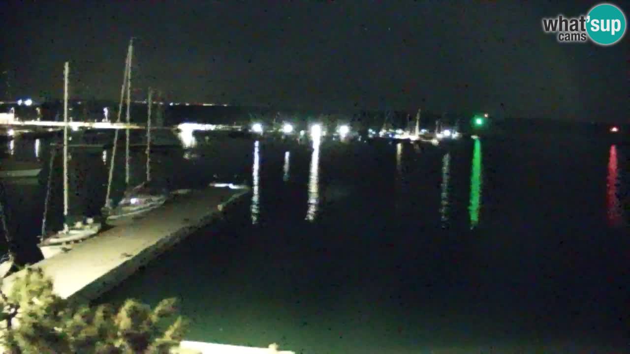 Spletna kamera Sesljan (Sistiana) – Pogled na marino in zaliv