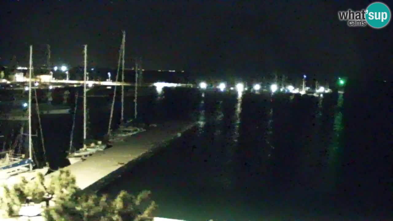 Webcam Sistiana – Pogled na marinu i zaljev