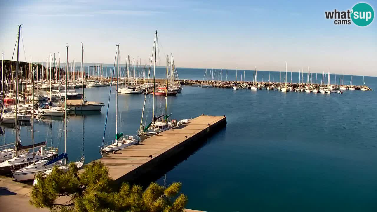 Spletna kamera Sesljan (Sistiana) – Pogled na marino in zaliv