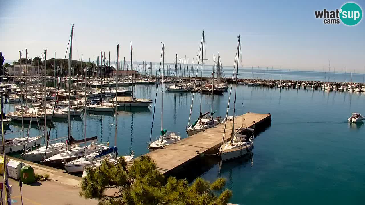 Webcam Sistiana – Pogled na marinu i zaljev