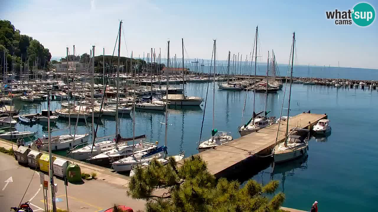 Webcam Sistiana – Marina and Bay Live View