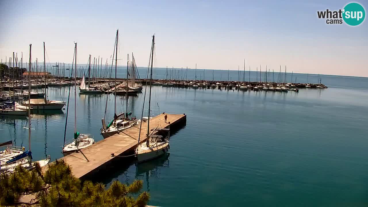 Webcam Sistiana – Marina and Bay Live View