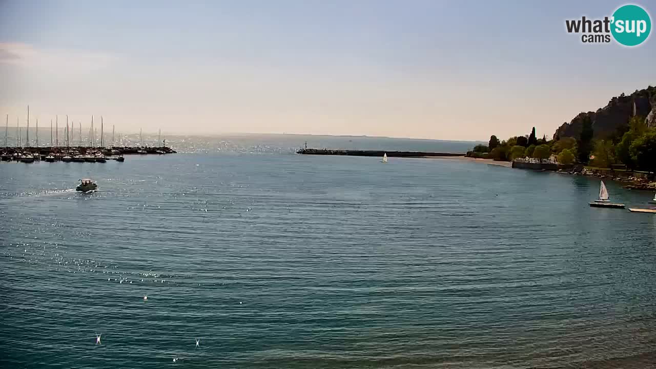 Webcam Sistiana – Marina and Bay Live View