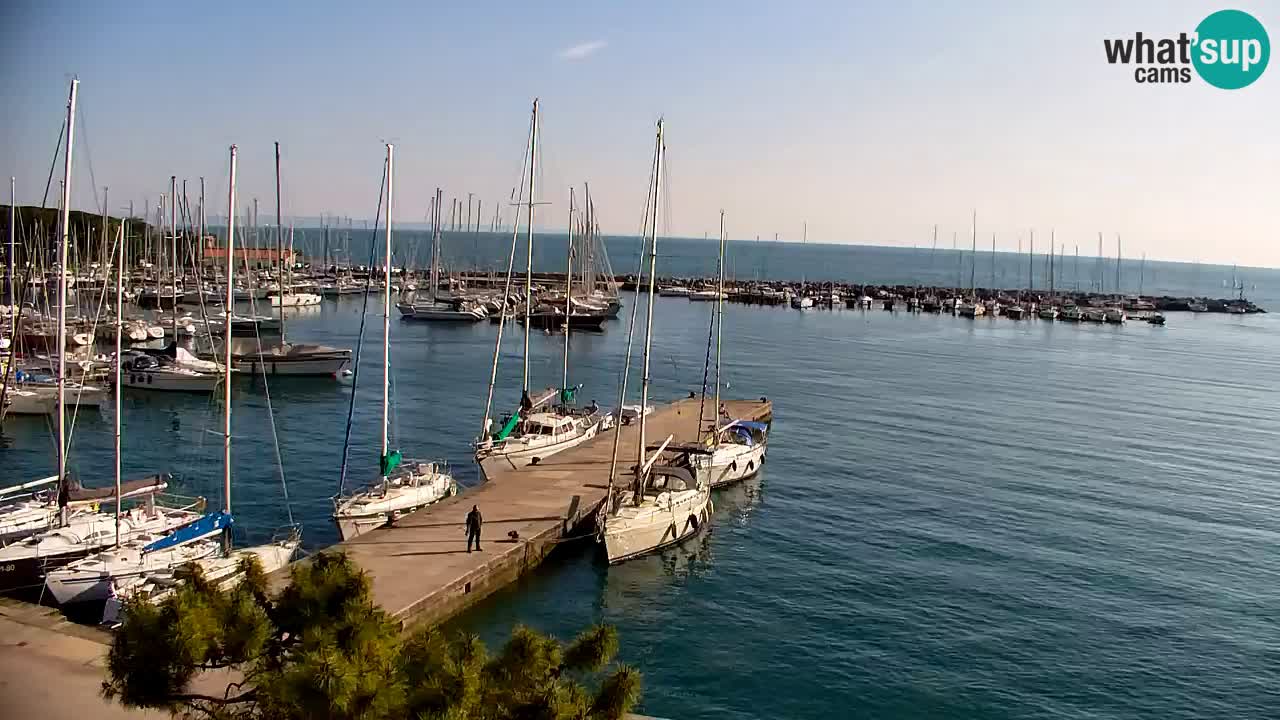 Webcam Sistiana – Pogled na marinu i zaljev
