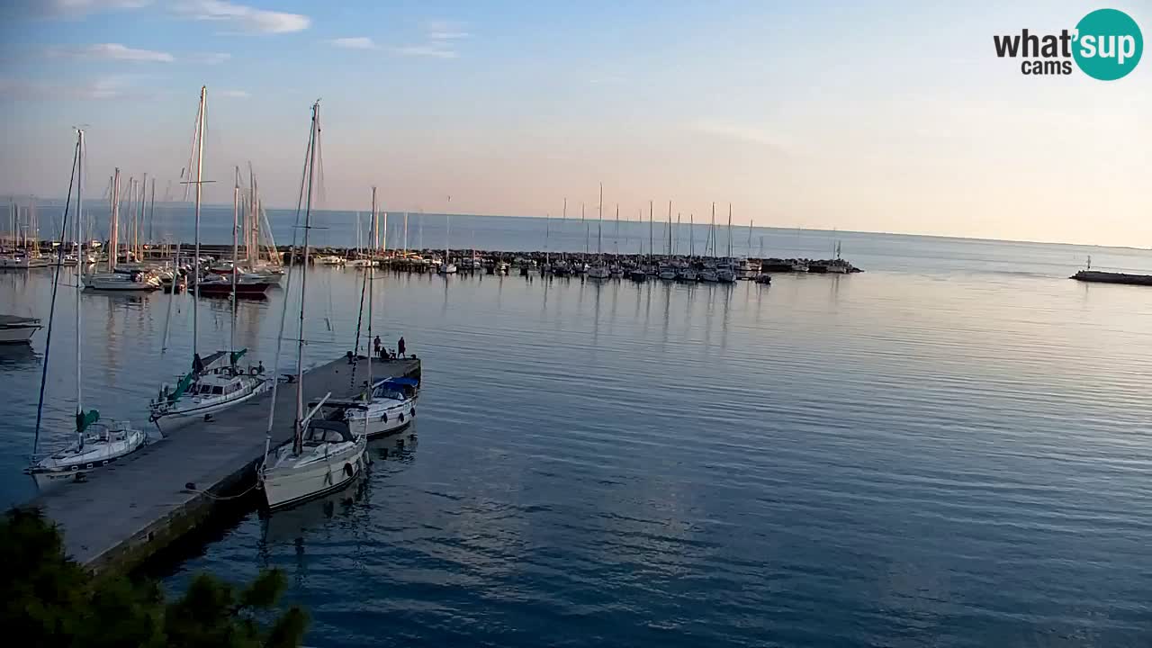 Webcam Sistiana – Pogled na marinu i zaljev