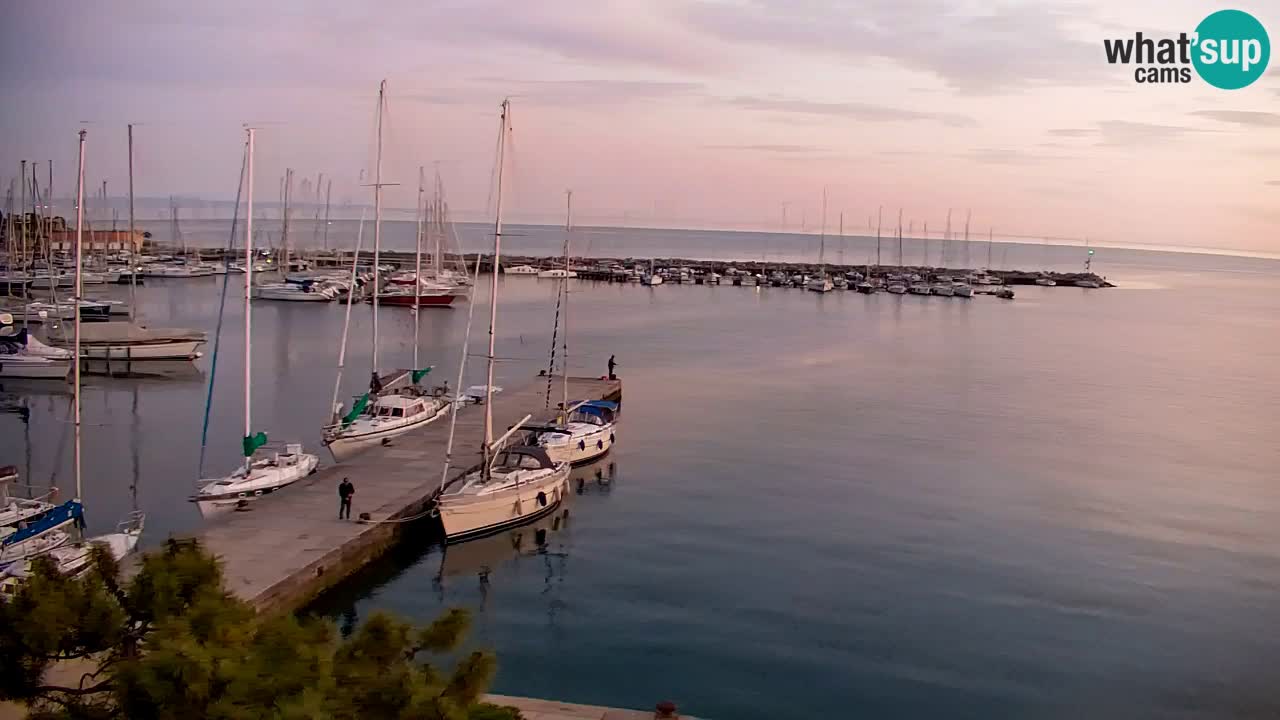 Webcam Sistiana – Pogled na marinu i zaljev