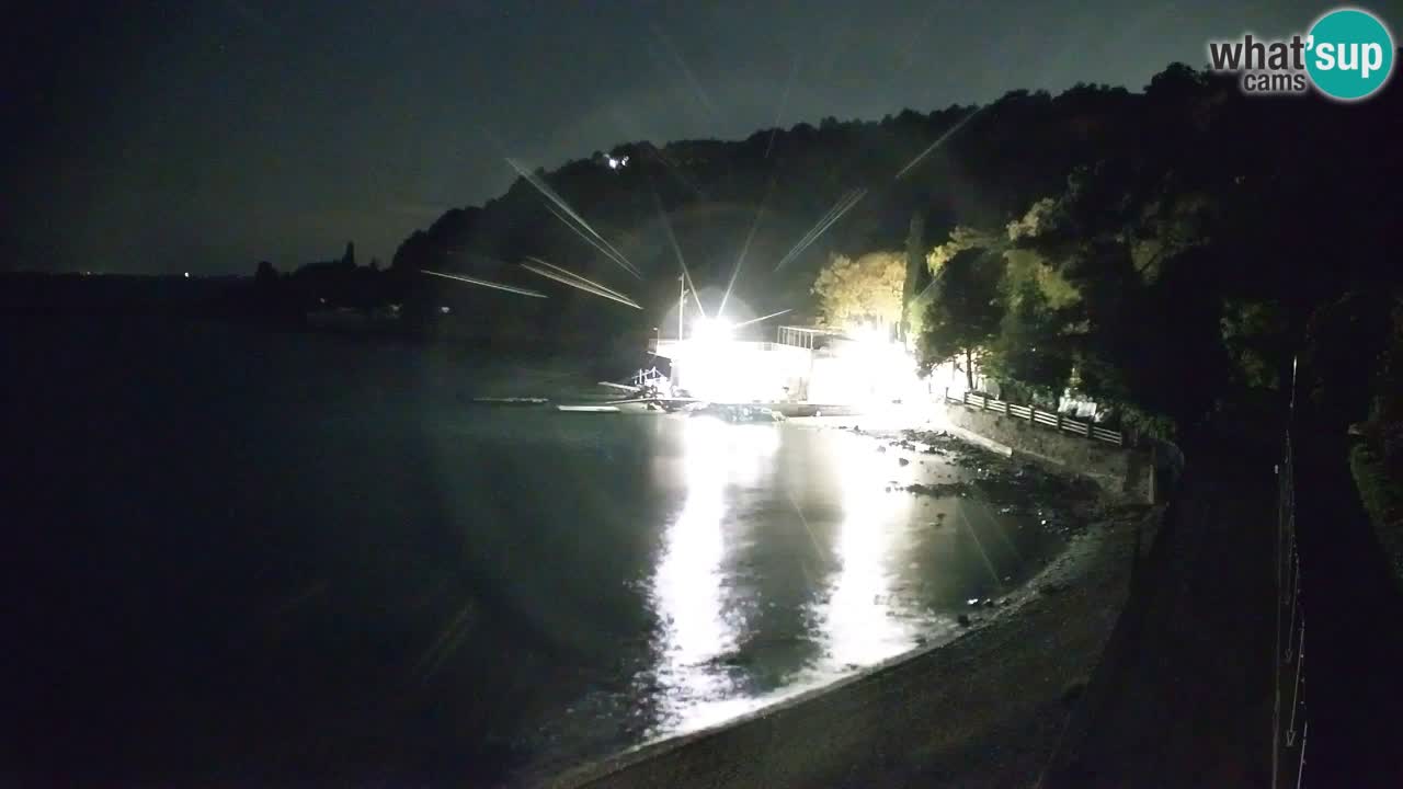 Webcam Sistiana – Marina and Bay Live View