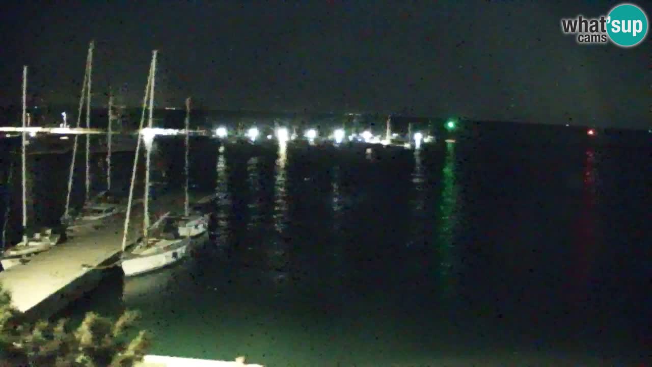 Webcam Sistiana – Marina and Bay Live View