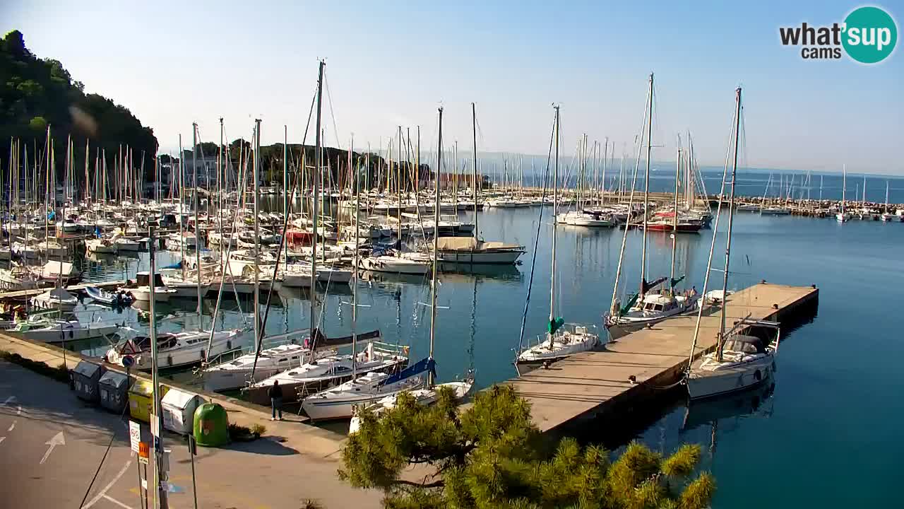 Spletna kamera Sesljan (Sistiana) – Pogled na marino in zaliv