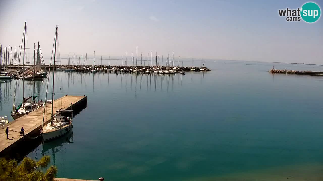 Webcam Sistiana – Vista sobre la marina y la bahía