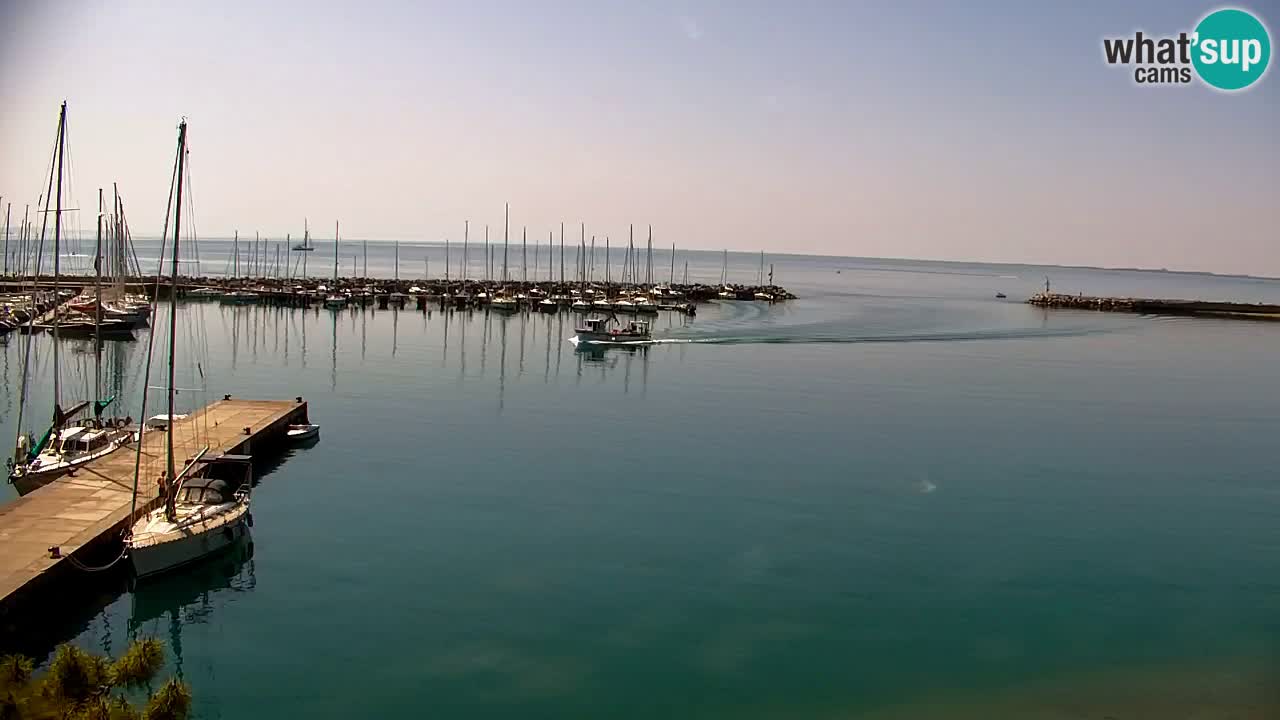Webcam Sistiana – Vista sulla marina e sulla baia