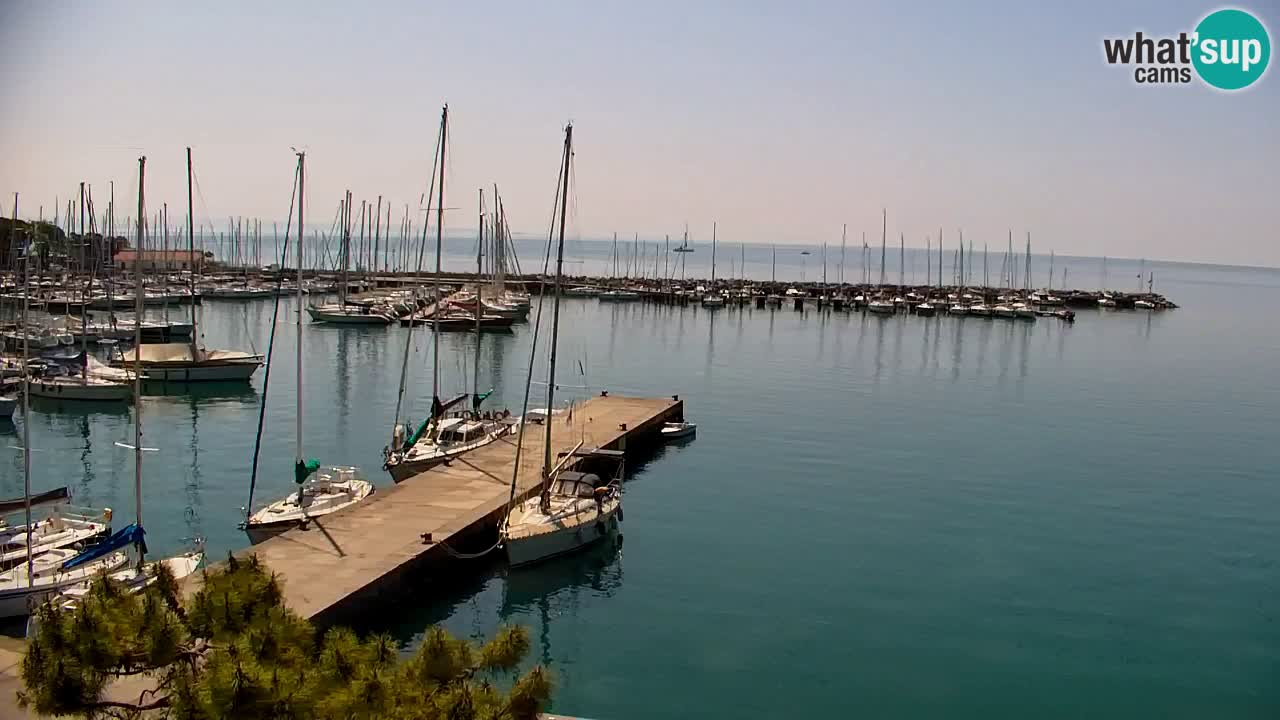 Webcam Sistiana – Blick auf Marina und Bucht