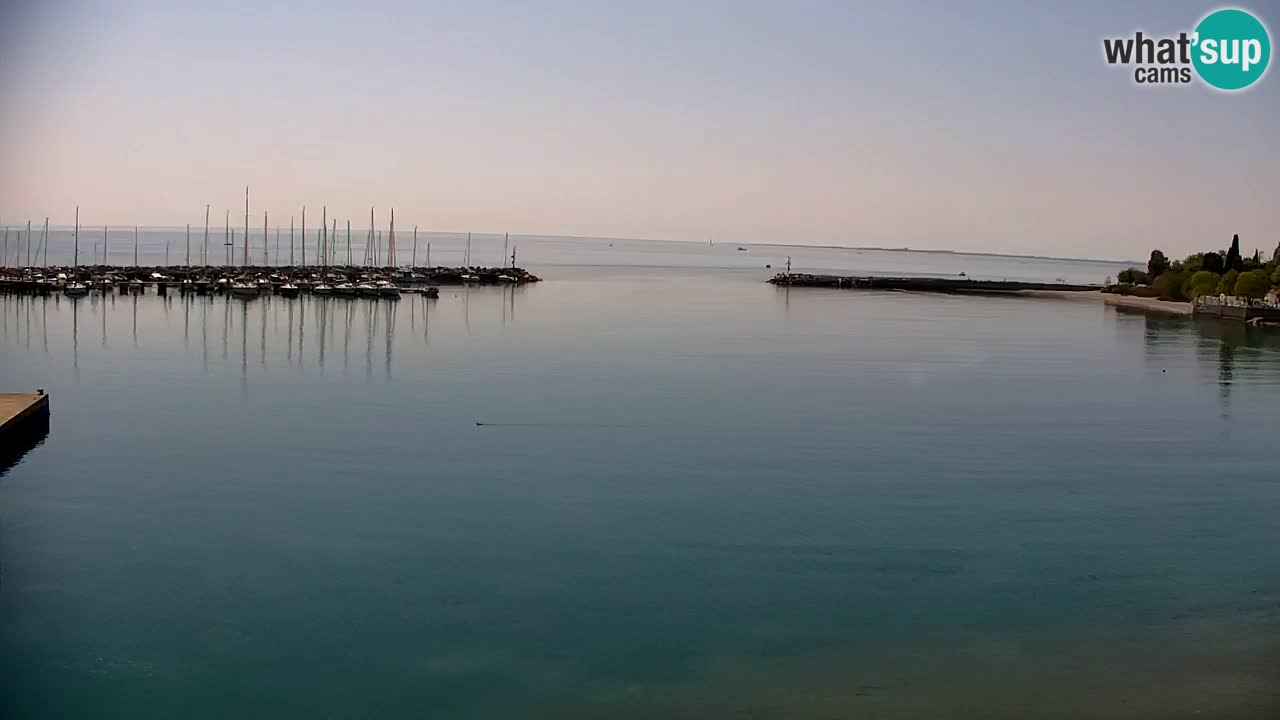 Spletna kamera Sesljan (Sistiana) – Pogled na marino in zaliv