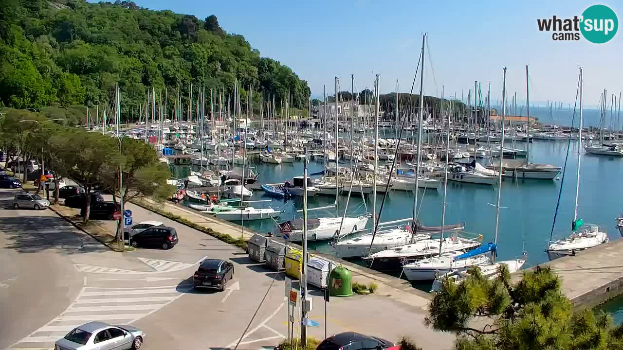 Webcam Sistiana – Pogled na marinu i zaljev