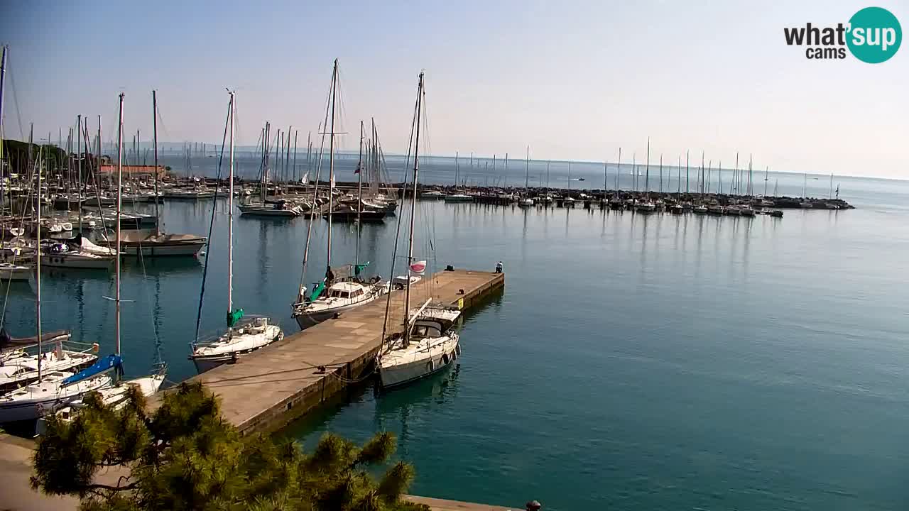 Webcam Sistiana – Vista sulla marina e sulla baia