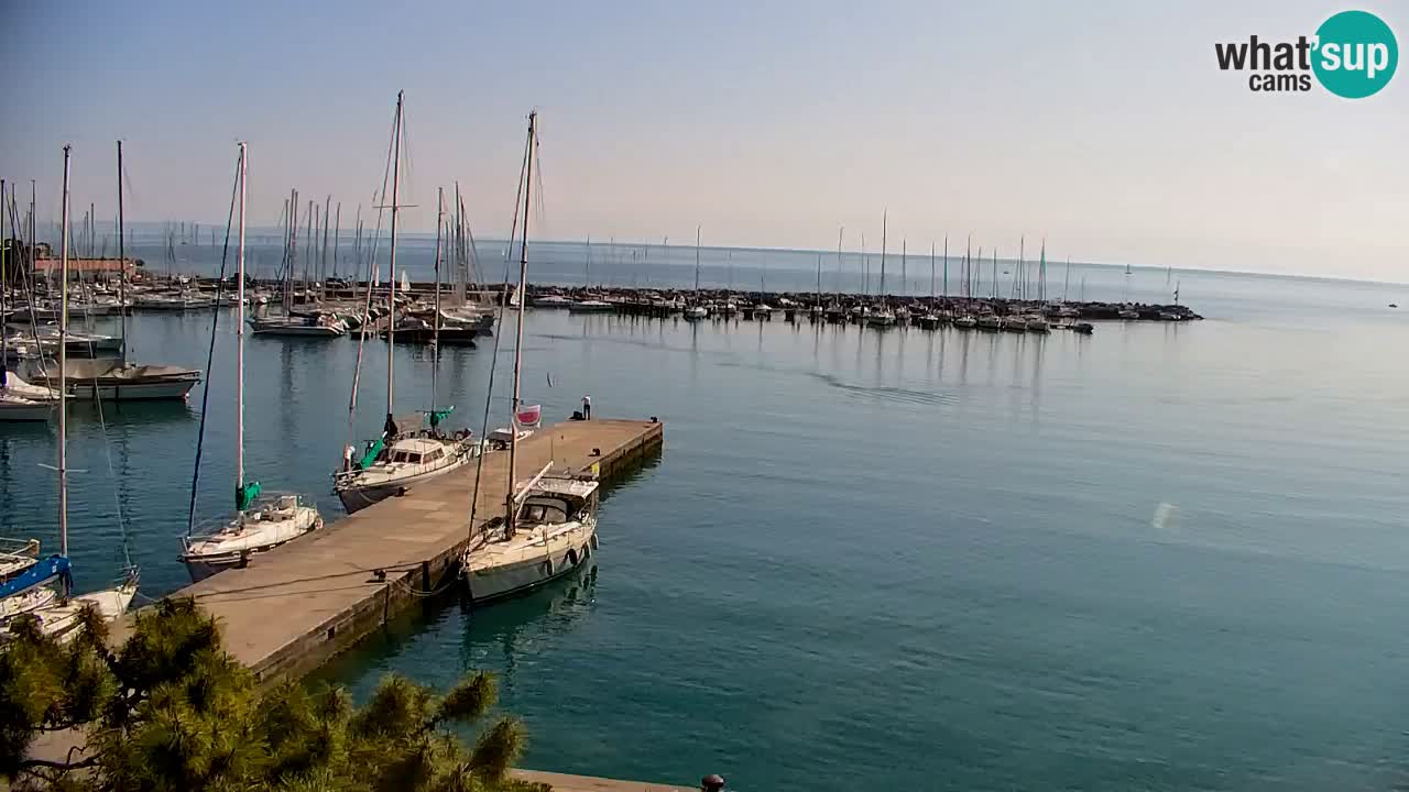 Webcam Sistiana – Marina and Bay Live View