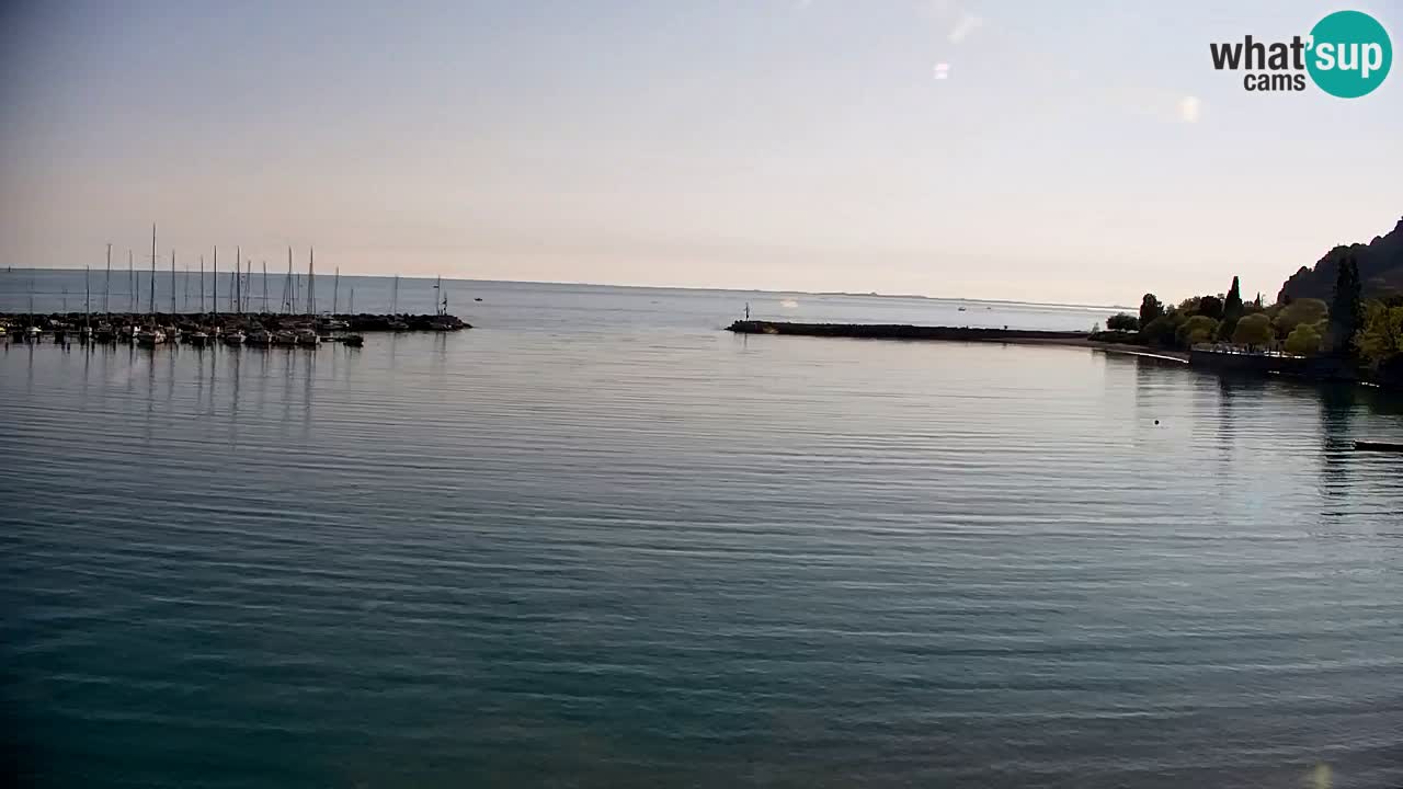 Webcam Sistiana – Marina and Bay Live View