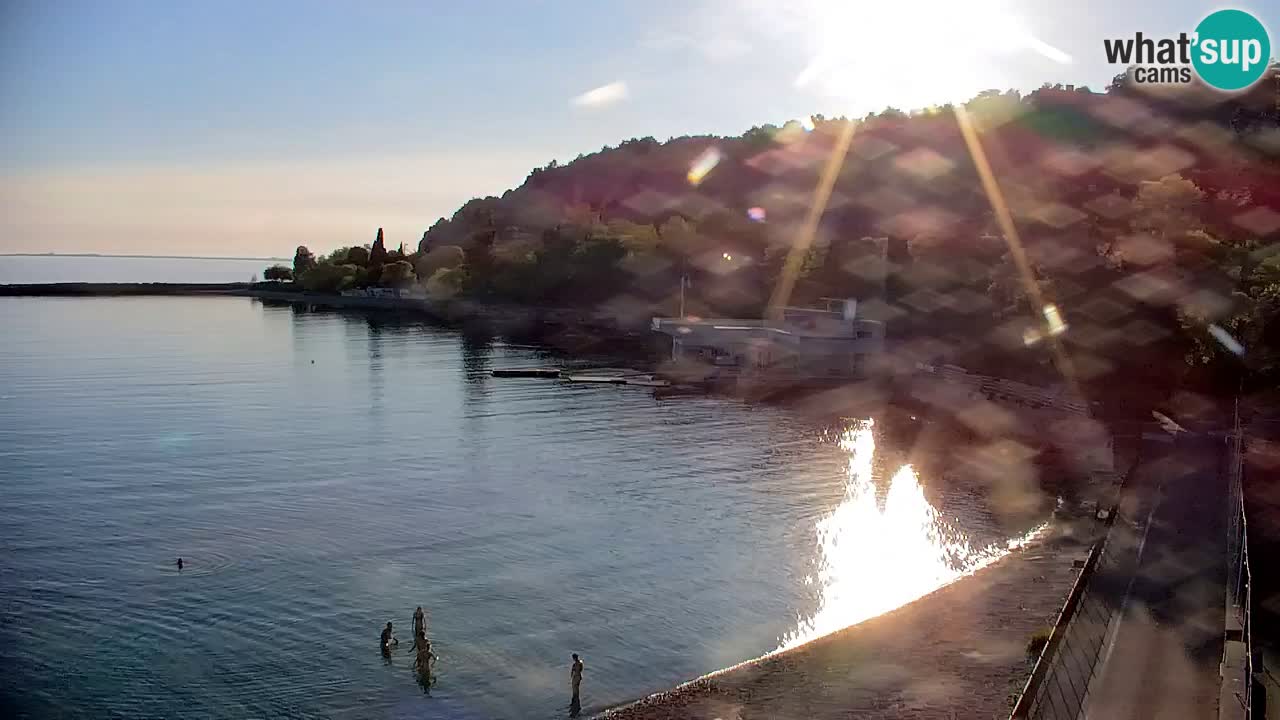 Webcam Sistiana – Vue sur la marina et la baie