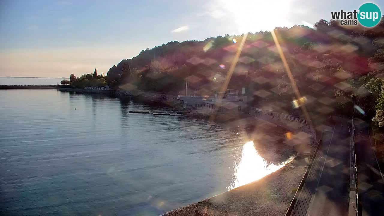 Webcam Sistiana – Marina and Bay Live View