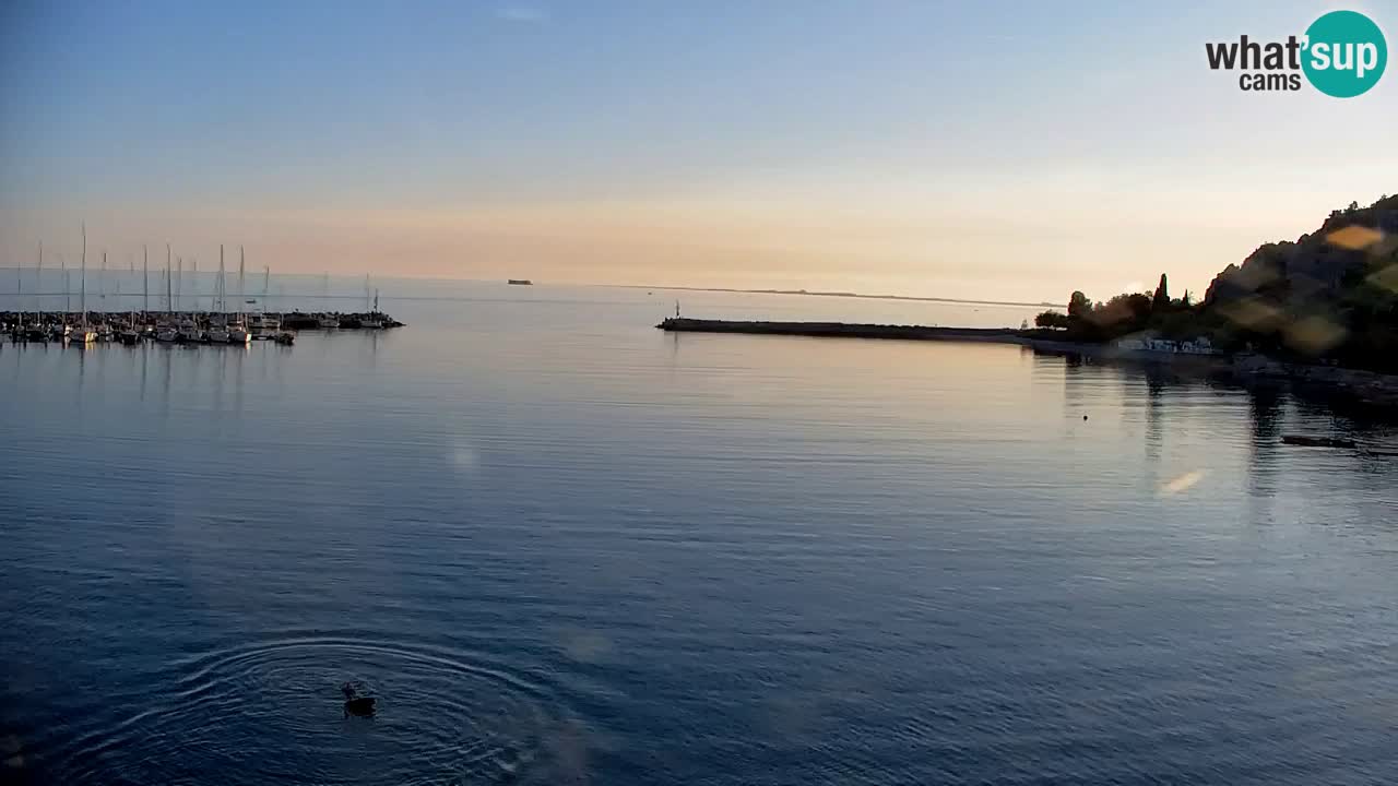 Webcam Sistiana – Vista sulla marina e sulla baia