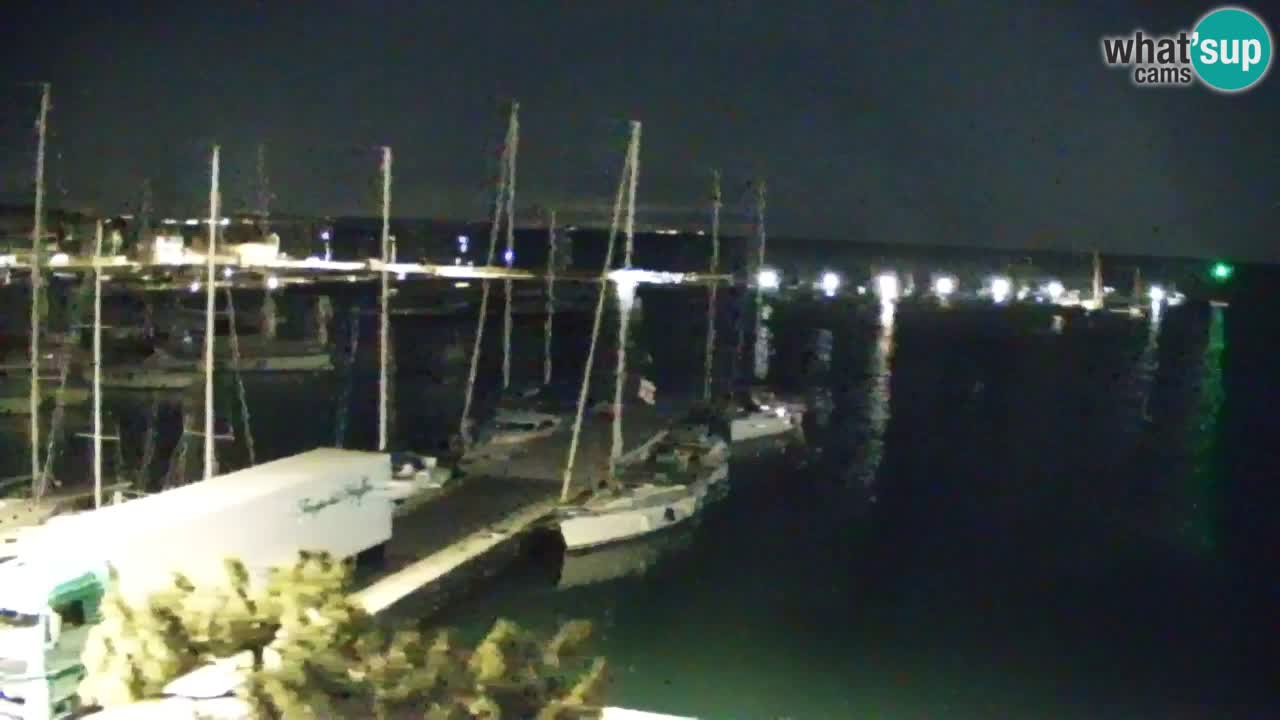 Webcam Sistiana – Marina and Bay Live View