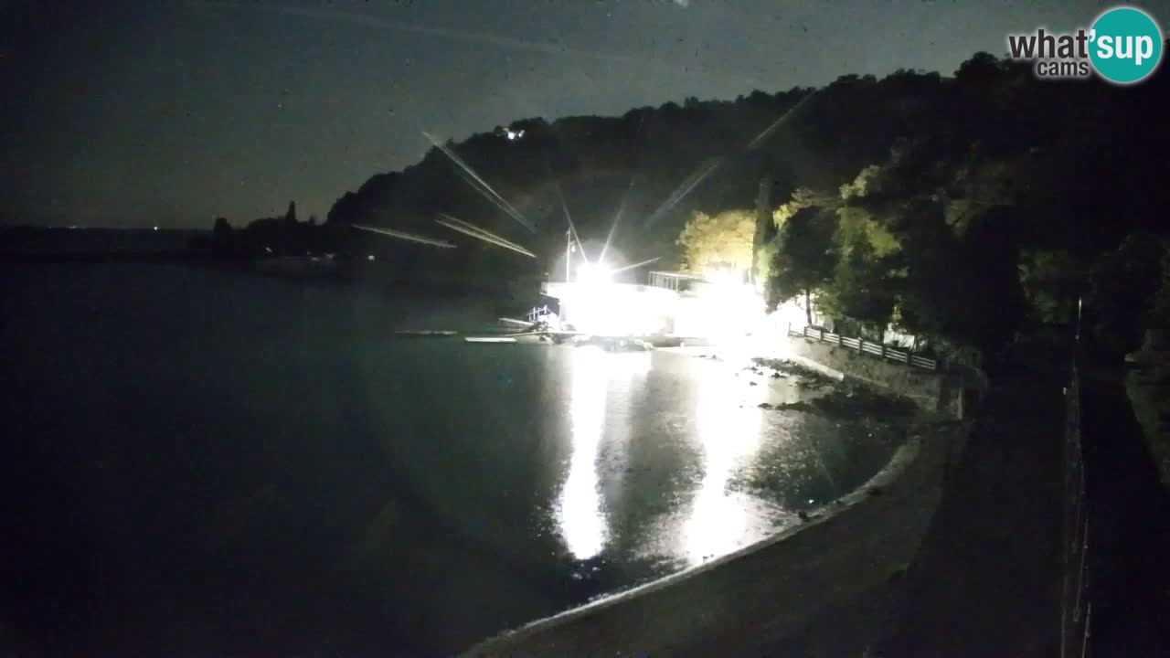 Webcam Sistiana – Marina and Bay Live View