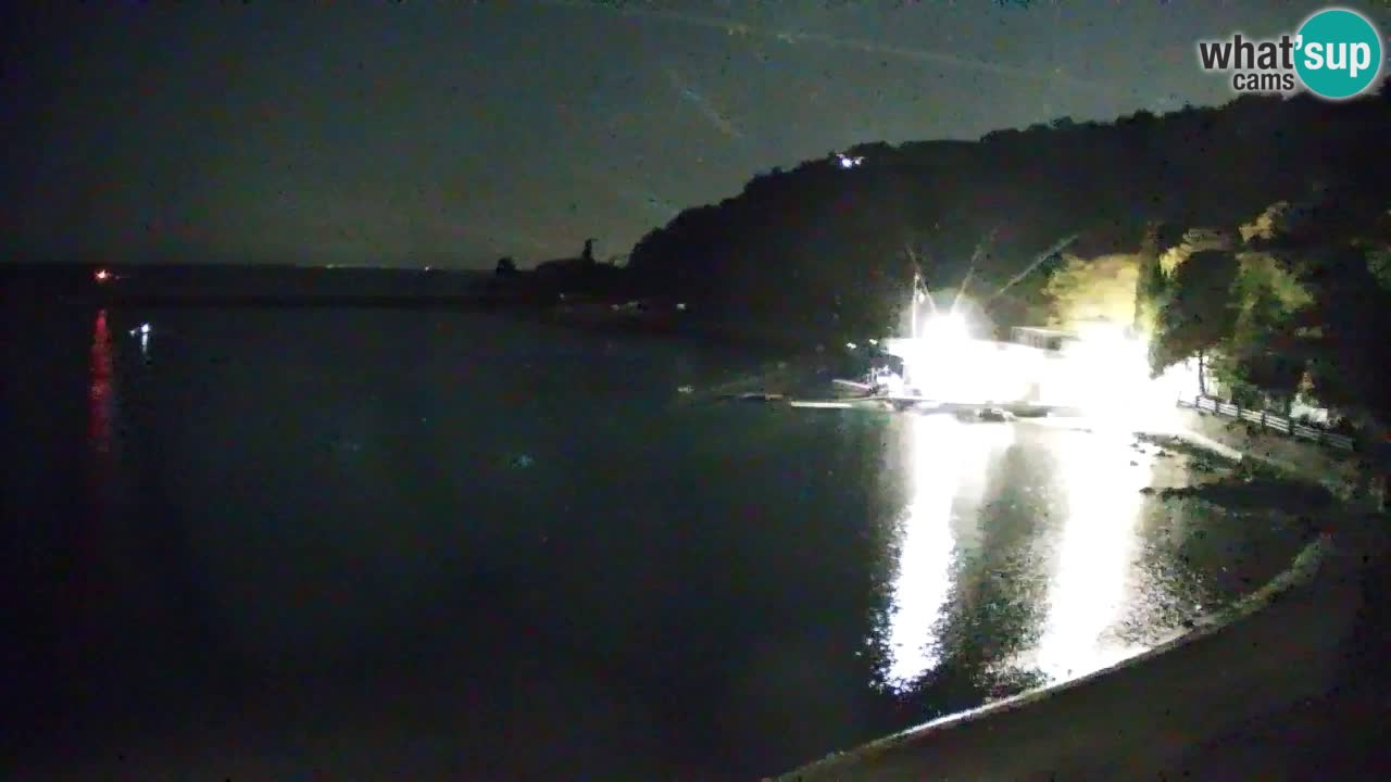 Webcam Sistiana – Marina and Bay Live View