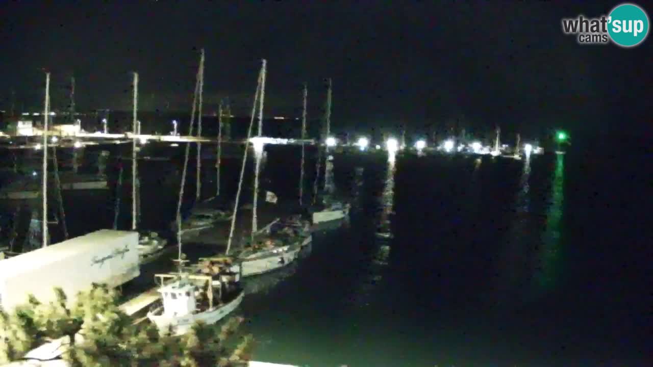 Webcam Sistiana – Pogled na marinu i zaljev