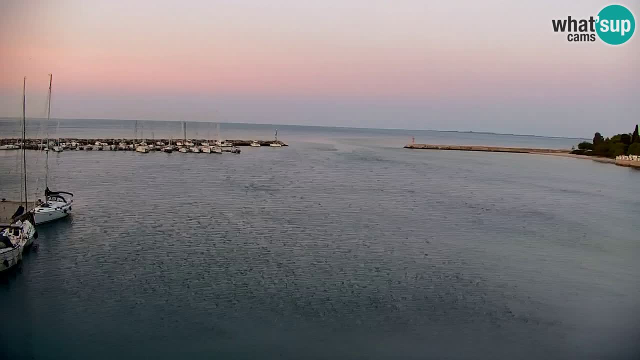 Spletna kamera Sesljan (Sistiana) – Pogled na marino in zaliv