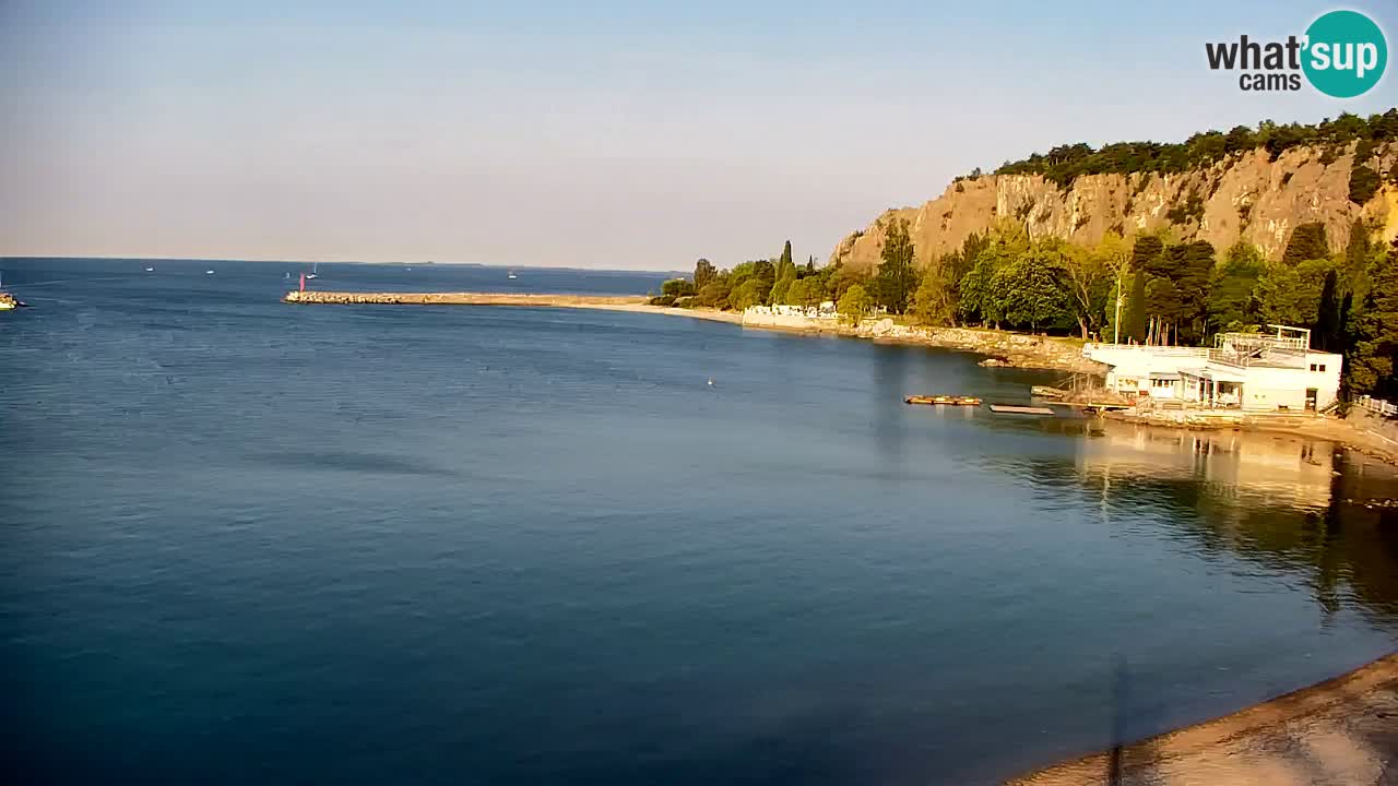 Webcam Sistiana – Pogled na marinu i zaljev