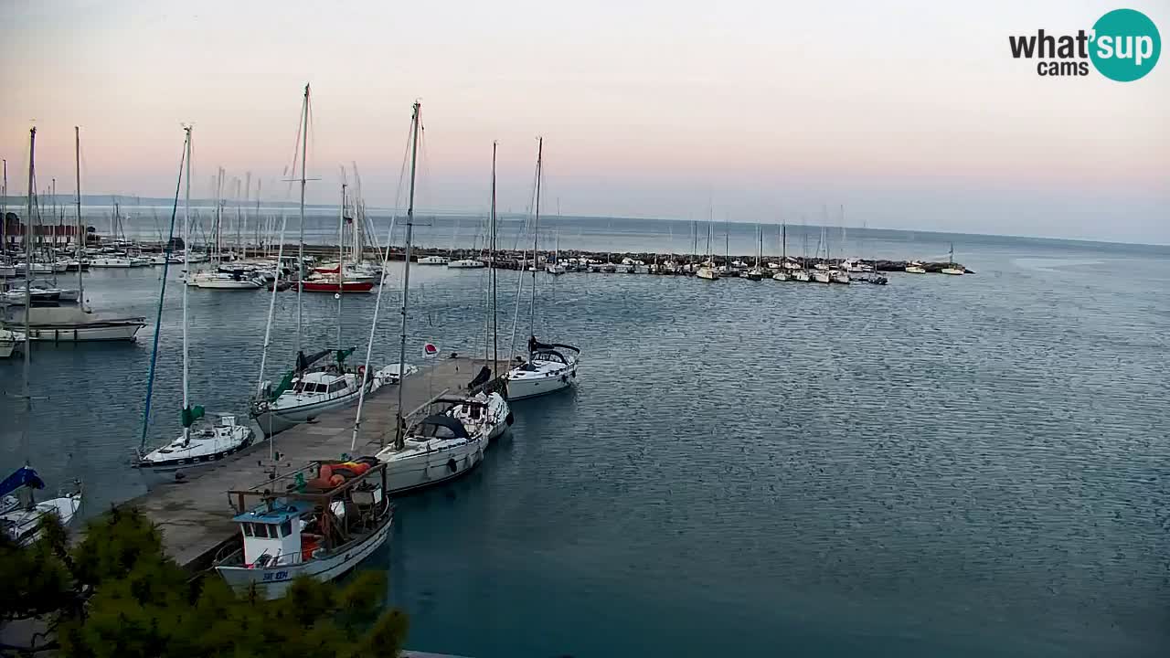 Webcam Sistiana – Vista sobre la marina y la bahía