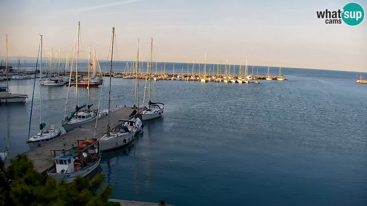 Webcam Sistiana – Vista sobre la marina y la bahía