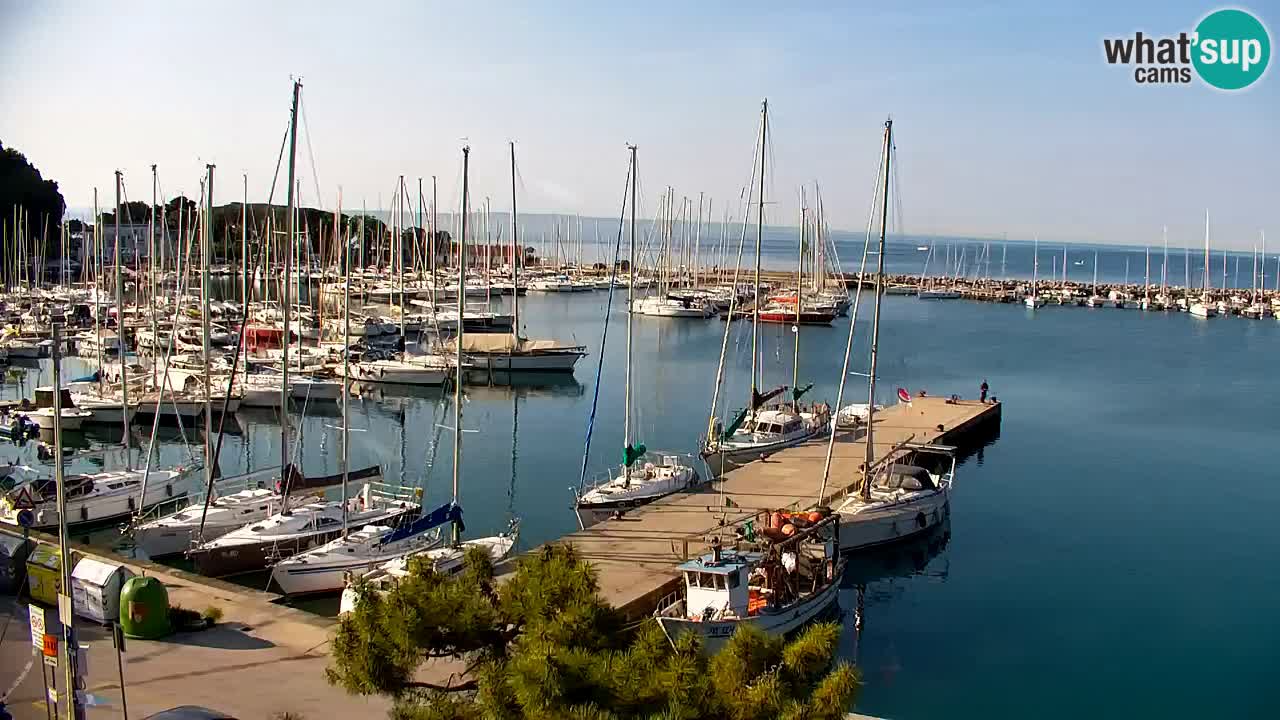 Webcam Sistiana – Blick auf Marina und Bucht