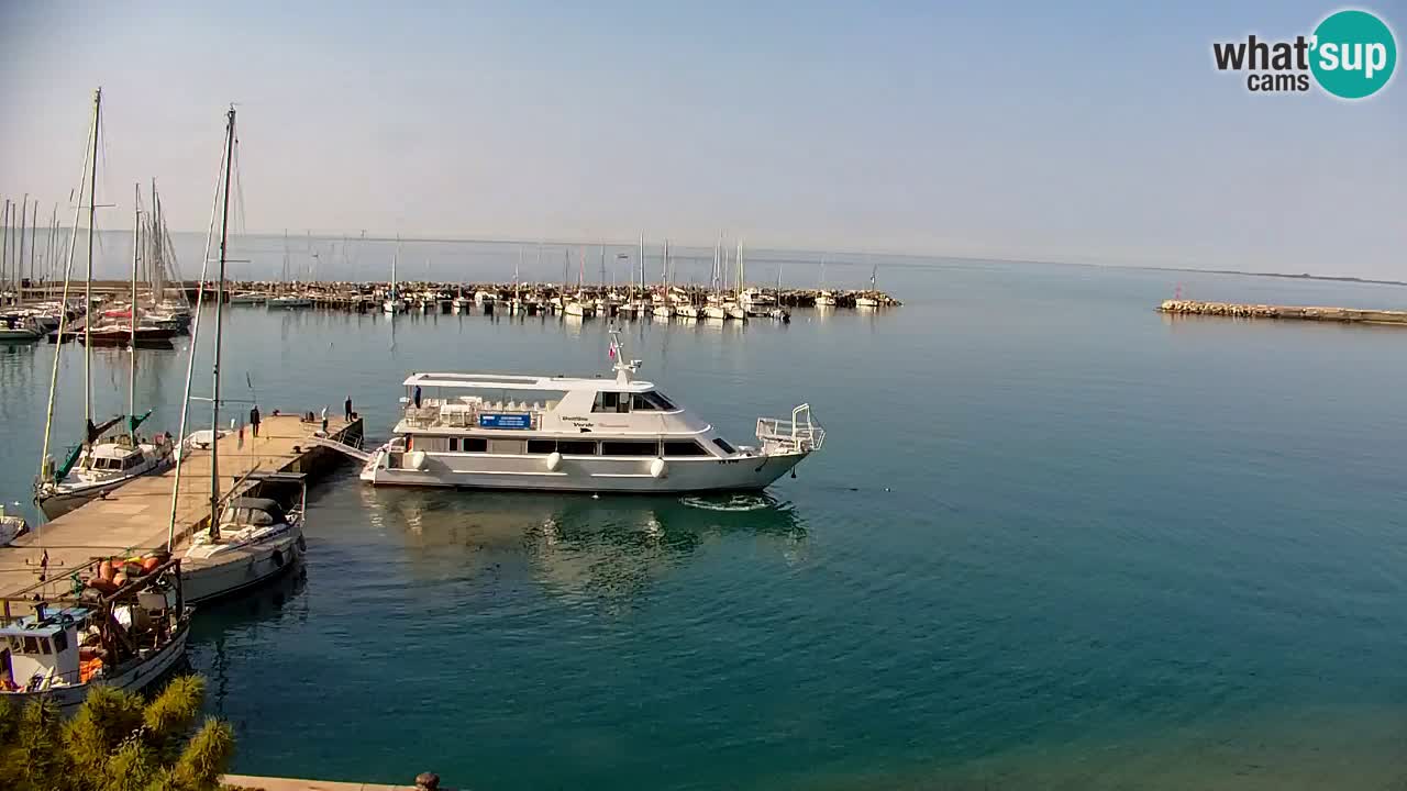 Webcam Sistiana – Marina and Bay Live View